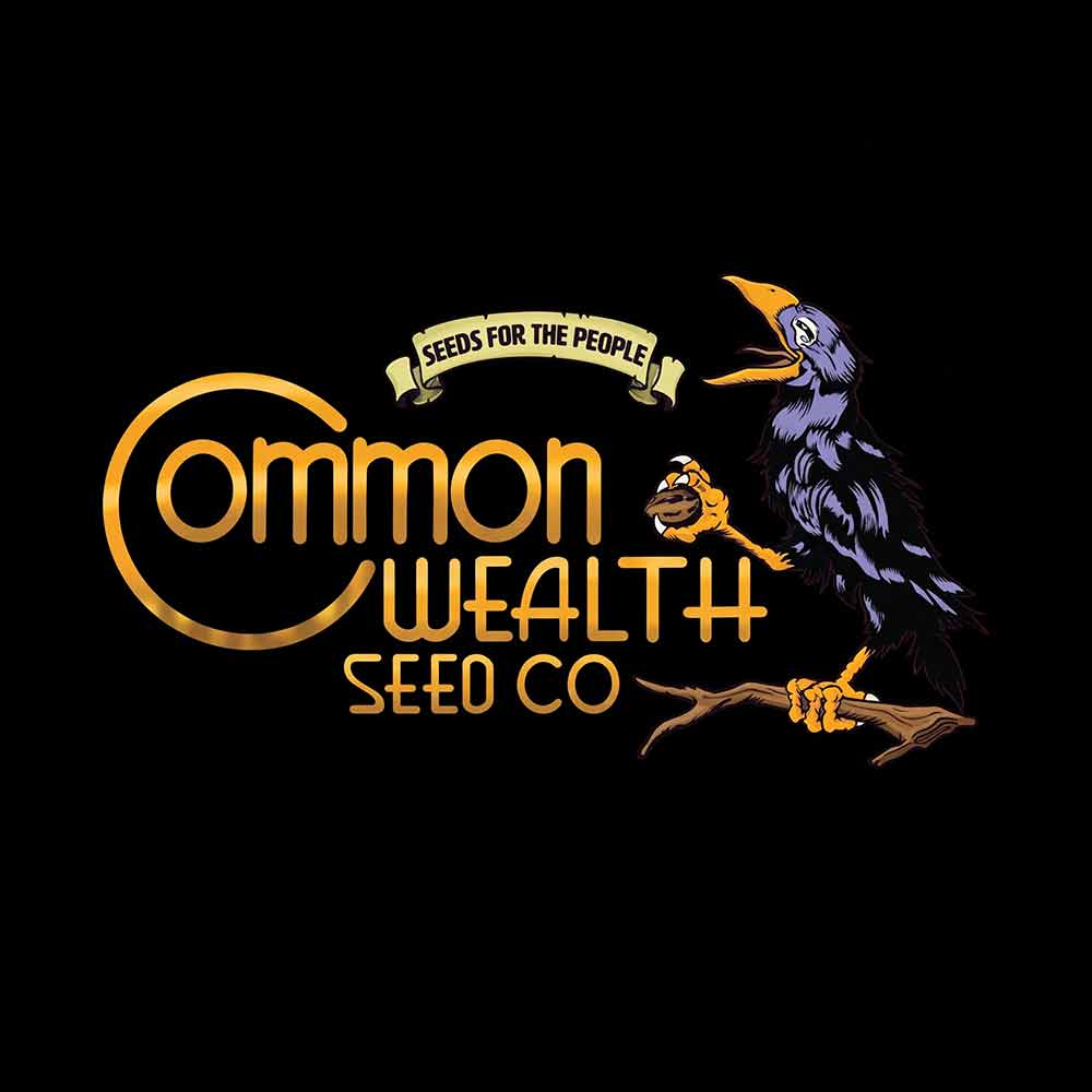 Logo der Commonwealth Seed Co. mit einem schwarzen Comic-Vogel auf einem Ast, der einen Samen hält, sowie dem Slogan „Seeds for the People“ über dem goldenen Firmennamen auf schwarzem Hintergrund.