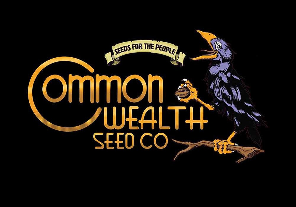 Logo der Commonwealth Seed Co. mit einem schwarzen Comic-Vogel auf einem Ast, der einen Samen hält, sowie dem Slogan „Seeds for the People“ über dem goldenen Firmennamen auf schwarzem Hintergrund.