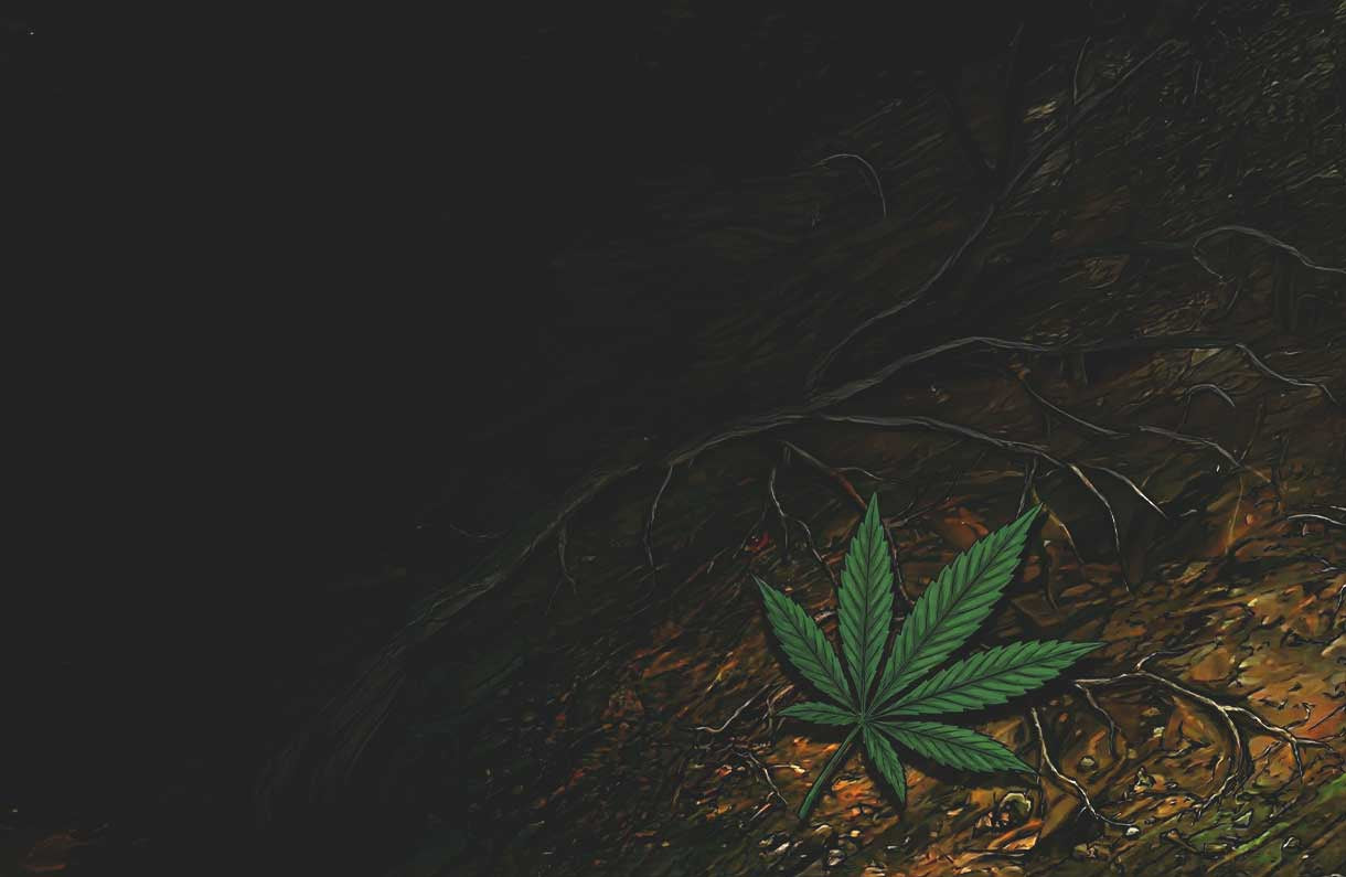 Ein einzelnes grünes Cannabisblatt liegt auf einem dunklen, erdigen Boden mit verstreuten Zweigen und Schatten, der auf einer Seite von einem sanften Licht beleuchtet wird.