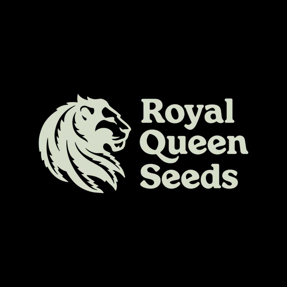 Logo für Royal Queen Seeds mit einem stilisierten Löwenkopf nach links und dem Text "Royal Queen Seeds" in fetten Buchstaben auf schwarzem Hintergrund.