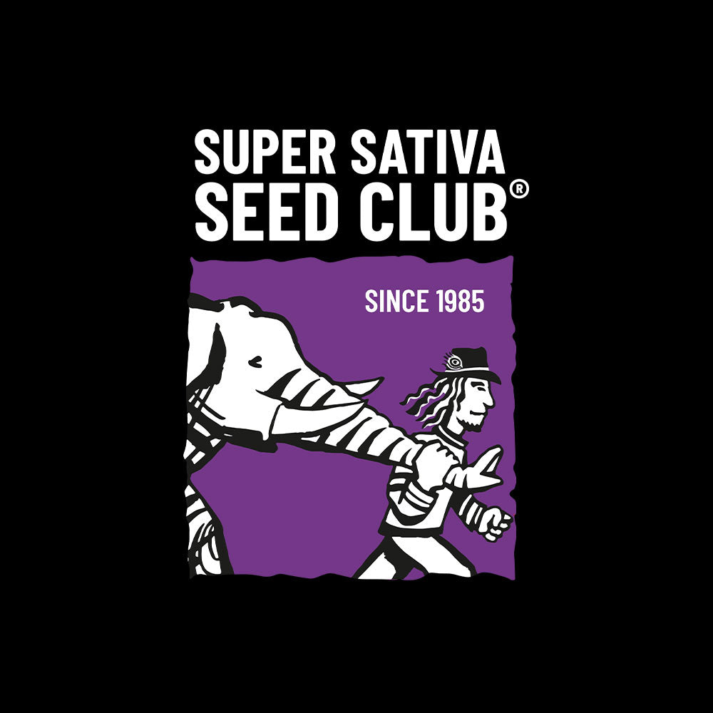 Logo für den Super Sativa Seed Club mit einem weißen Cartoon-Elefanten und einer Person, die zusammen auf einem violetten Hintergrund spazieren gehen, mit dem Text SUPER SATIVA SEED CLUB® SINCE 1985 über und neben ihnen.