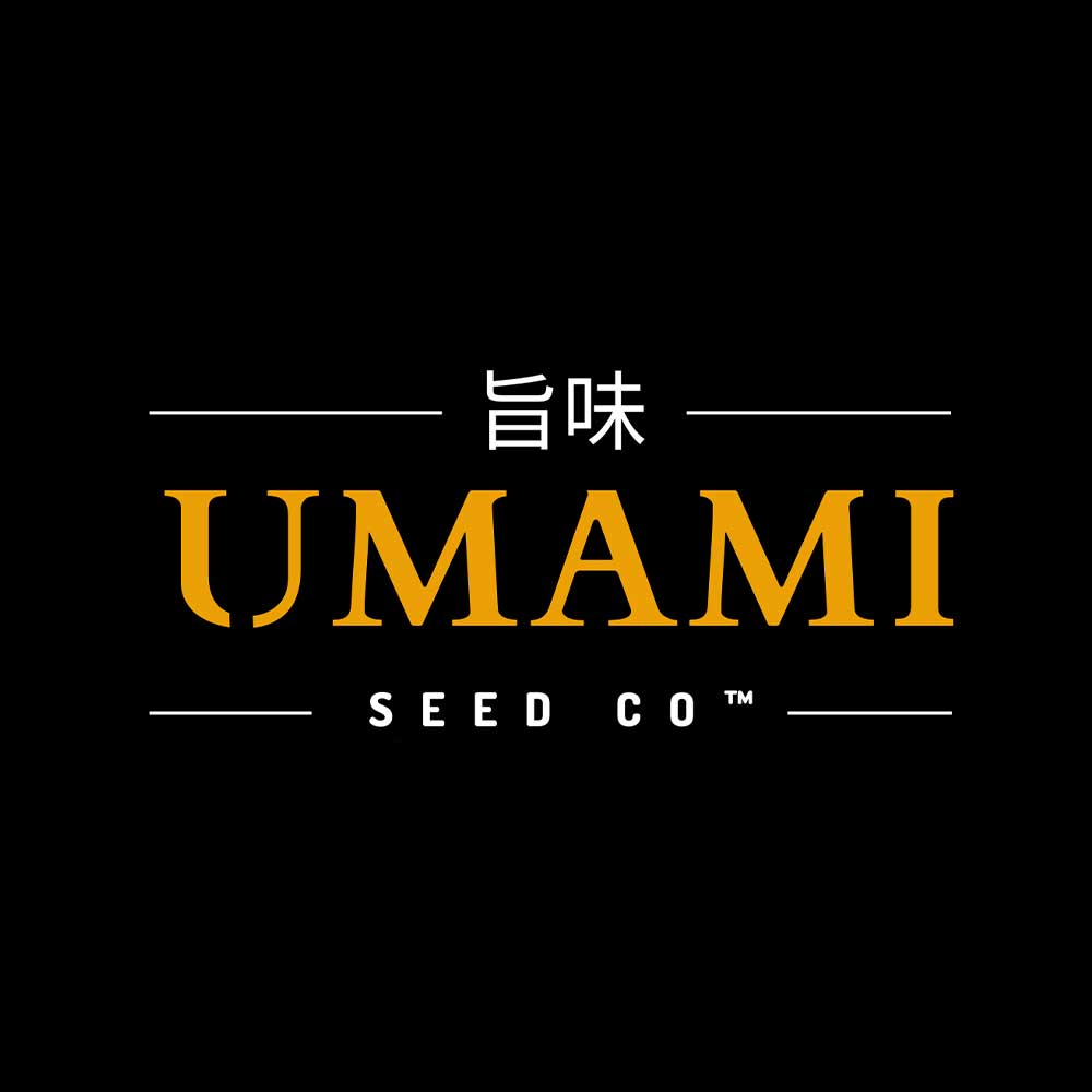 Logo auf schwarzem Hintergrund mit UMAMI SEED CO in fetten gelben und weißen Buchstaben mit japanischen Schriftzeichen für umami oberhalb des Textes und Linien, die das Logo einrahmen.