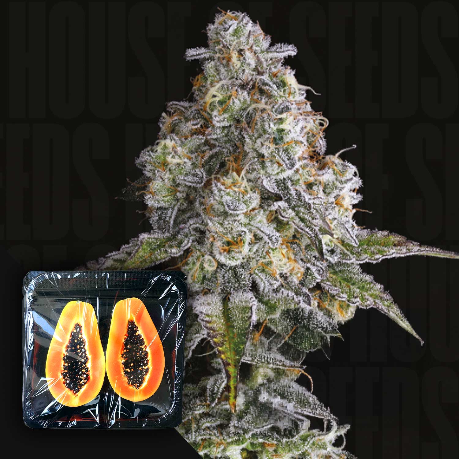 9WH-DID-3