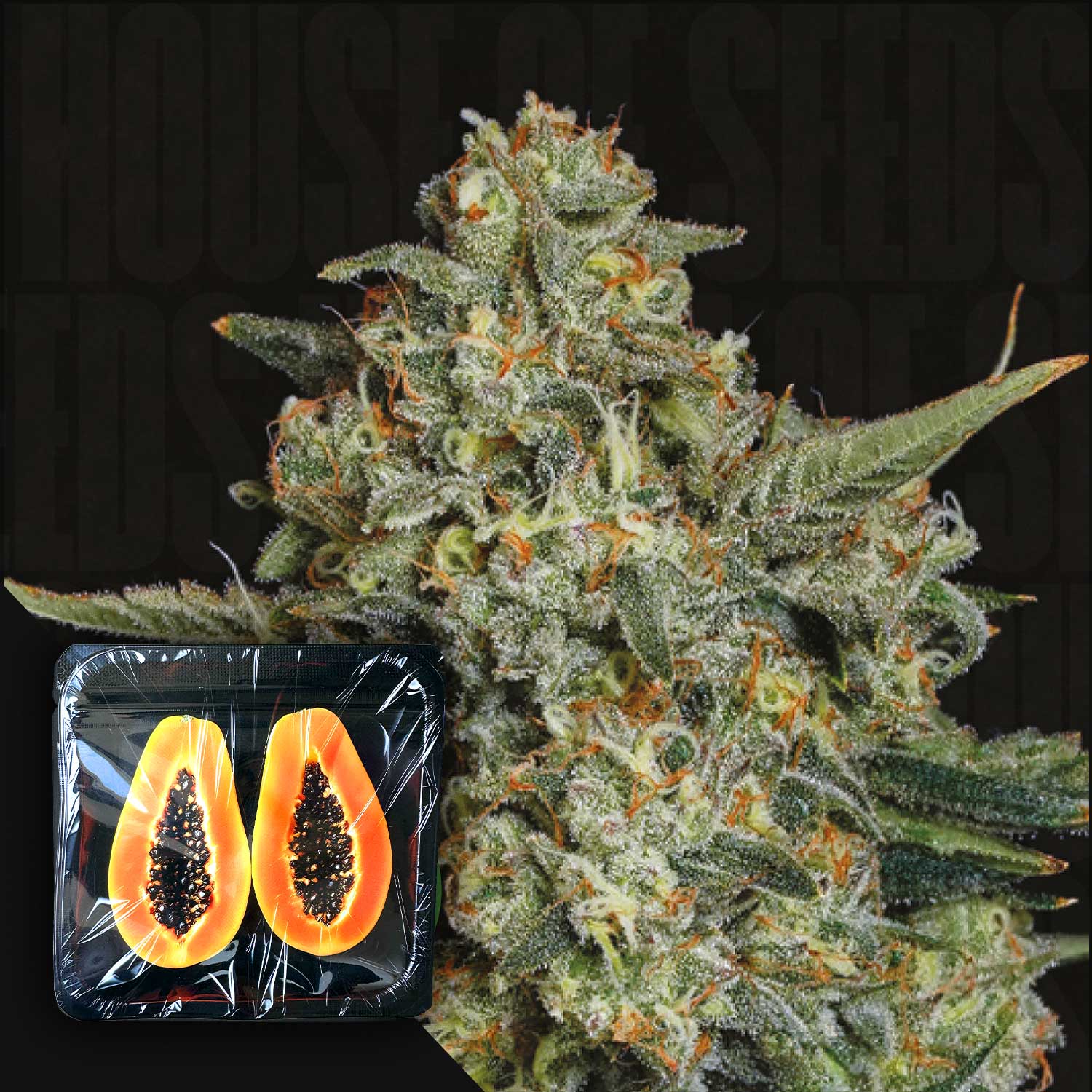 Eine Nahaufnahme von Funky Drip Cannabis von Nine Weeks Harvest, mit geschnittener Papaya in einer Plastikschale davor.