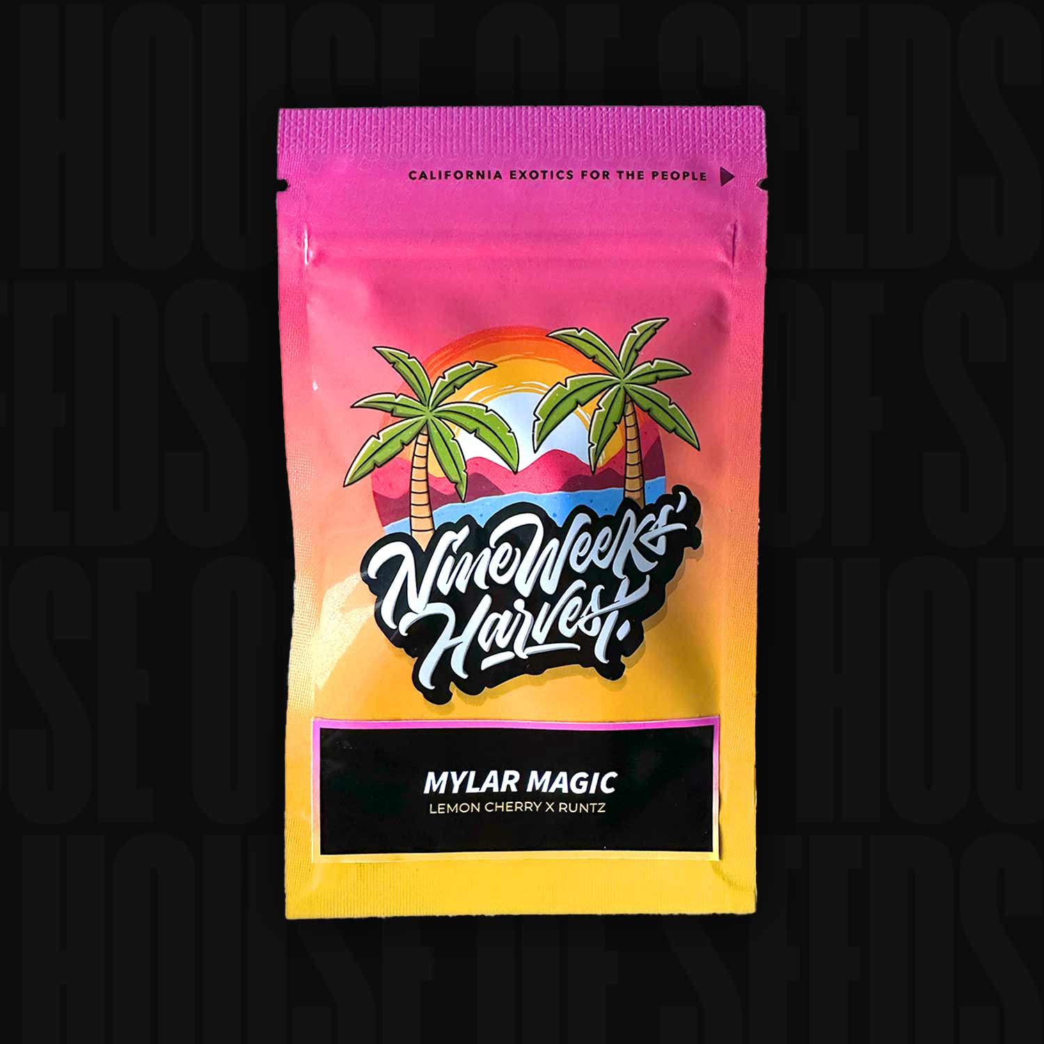 Nine Weeks Harvest Mylar Magic Beutel mit Palmen, Sonnenuntergang, Lemon Cherry Gelato x Runtz auf schwarzem Hintergrund