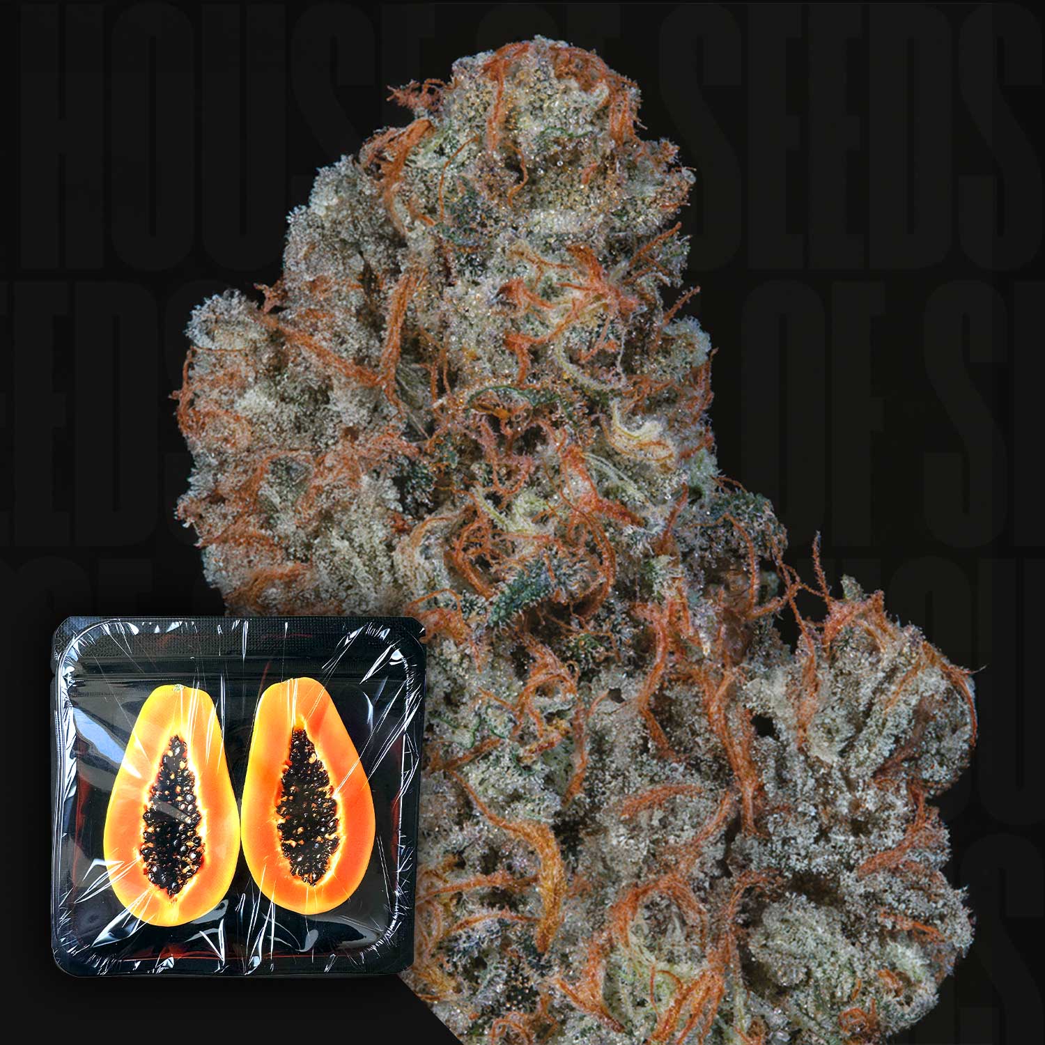 Riviera Drip Cannabis Pflanze mit frostigen Blüten und Verpackung mit zwei Papayahälften unten links