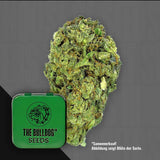 TB Sour Diesel