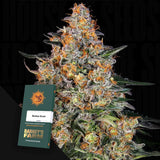 Bubba Kush