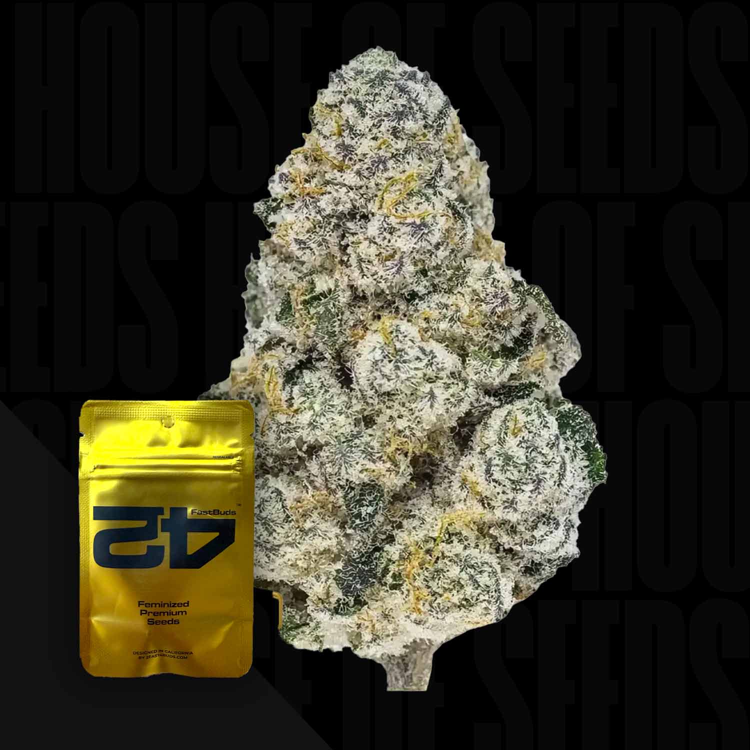 Nahaufnahme einer frostigen Cannabisknospe mit einem Lemonpaya FEM-Samenpaket von 420 Fast Buds auf einem dunklen Hintergrund.