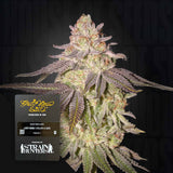 Black Toffee Auto