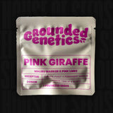 Pink Giraffe