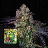 Kushmallow