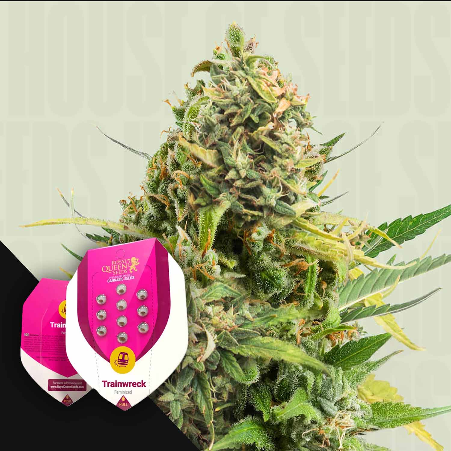 RQS-TWC-0