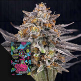 CandyGaz