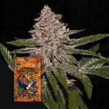 Radical Juice