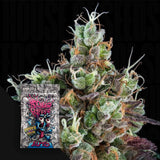 Sour Ripper Auto