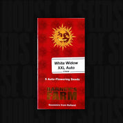 Rotes Barney’s Farm Päckchen White Widow XXL Auto mit Sonnenlogo, Aufschrift 5 Samen und Text "Souvenirs aus Holland"