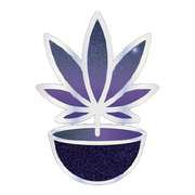 icon-2.png