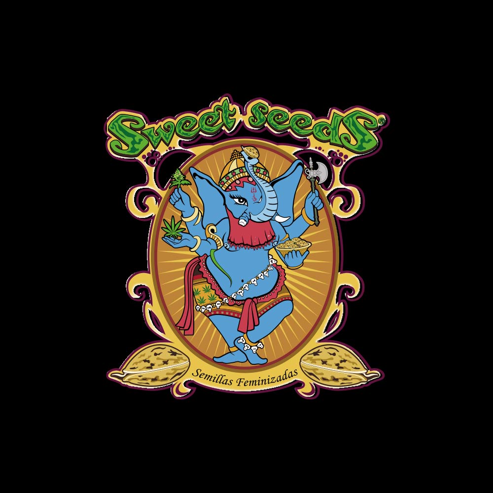Das Logo von der Marke Sweet Seeds. Ein blauer Elefant auf orangenem Hintergrund. Sweet Seeds in grüner Schrift. Text unten Semillas Feminizadas